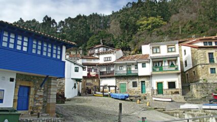 tazones
