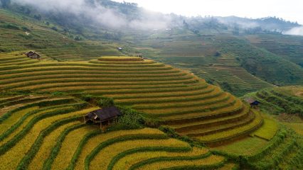 Ecoaldeas en Asia - Pueblos sostenibles y Ecoaldeas en Asia Ecoaldeas en Asia - Aldeas sostenibles en Asia