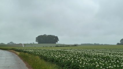 Ecoaldeas en Bélgica - Pueblos sostenibles y Ecoaldeas en Bélgica