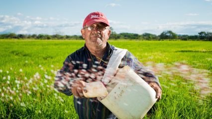 Ecoaldeas en Colombia - Aldeas sostenibles en Colombia