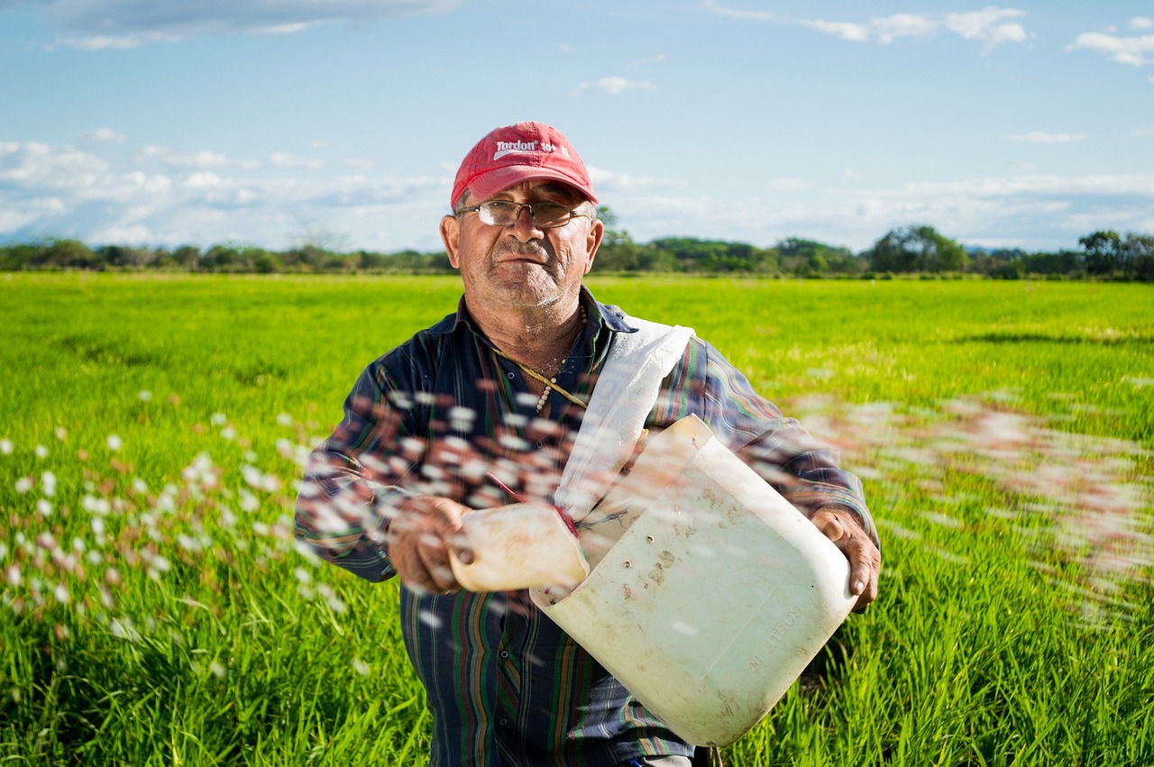 Ecoaldeas en Colombia - Aldeas sostenibles en Colombia