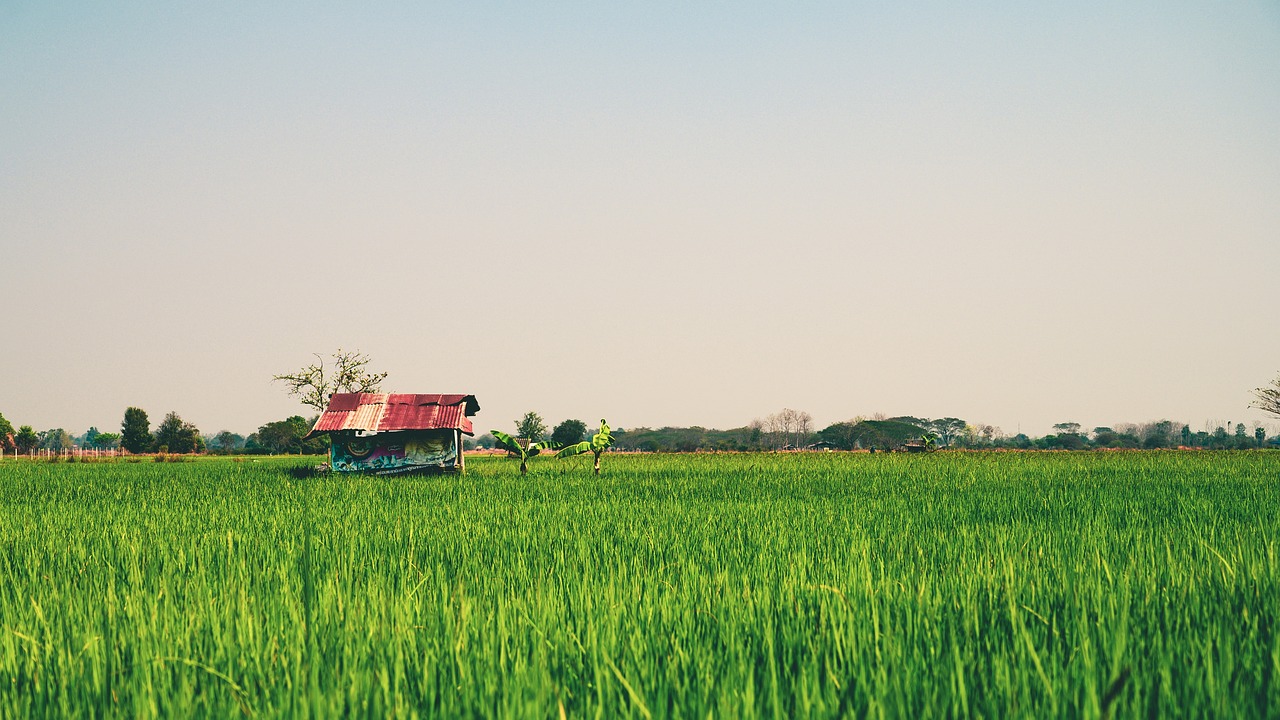 Ecoaldeas en Tailandia - Pueblos sostenibles y Ecoaldeas en Tailandia