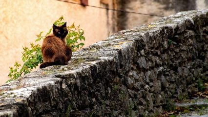 Pueblos Medievales en Mundo - Pueblos de la época medieval en Mundo para visitar Pueblos Medievales en Mundo - Pueblos de la época medieval en Mundo para visitar