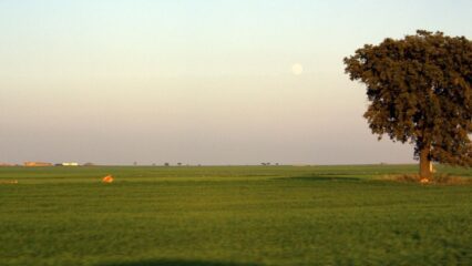 Pueblos Rurales en Albacete - Pueblos con ambiente rural en Albacete para visitar Pueblos Rurales en Albacete – Pueblos con ambiente rural en Albacete para visitar