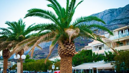 Pueblos para Visitar en Verano en Las Palmas - ¿Qué visitar en Verano en Las Palmas? Pueblos para visitar en verano en Las Palmas