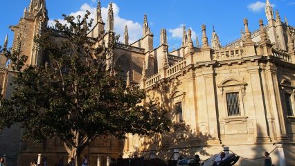 Pueblos que te pagan por vivir en Sevilla Pueblos que te pagan por vivir en Sevilla