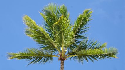 Pueblos y Aldeas en venta en República Dominicana