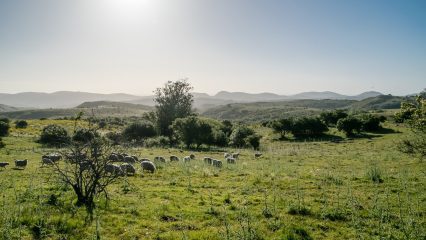 Pueblos y Aldeas en venta en Uruguay