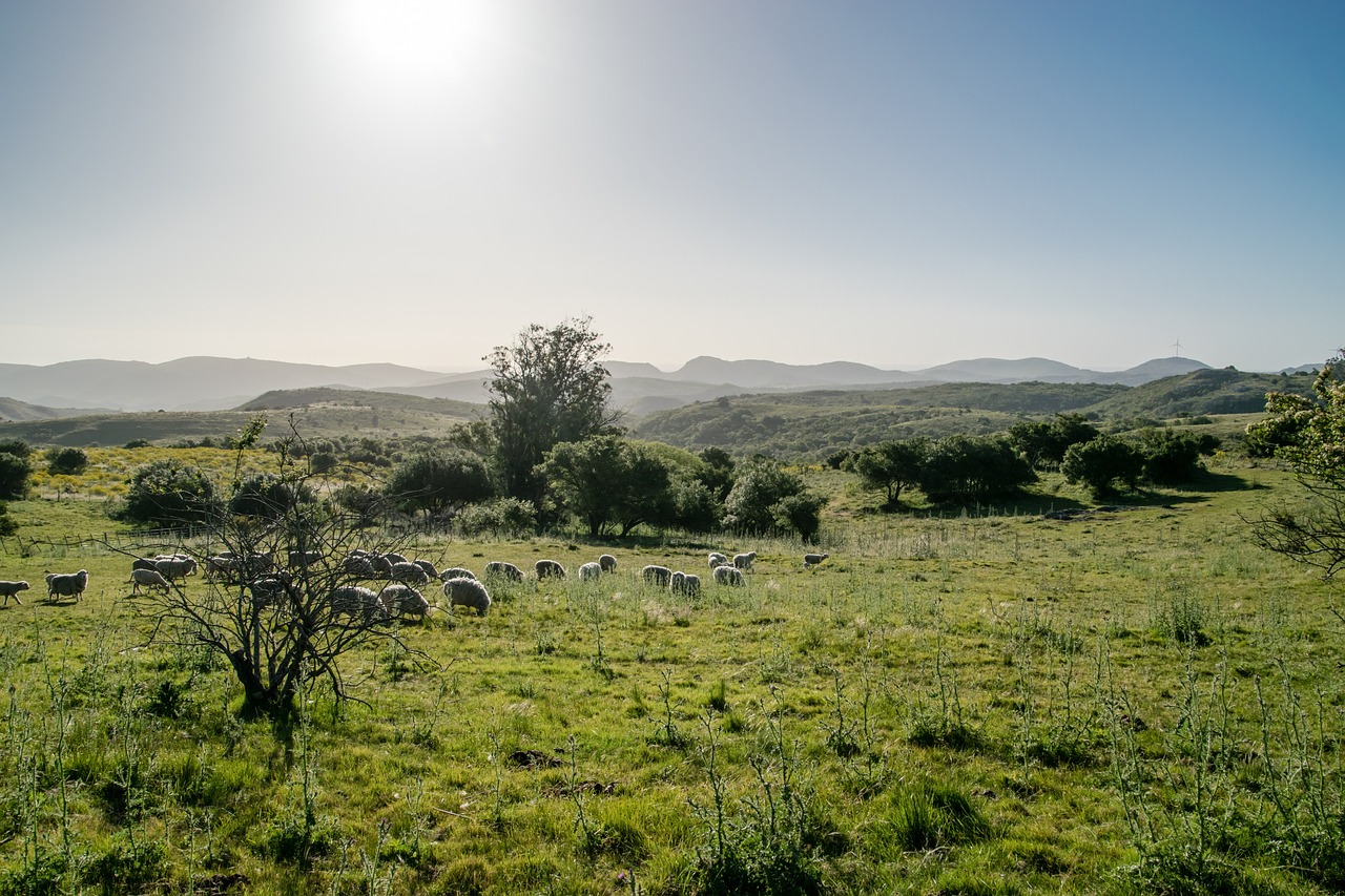 Pueblos y Aldeas en venta en Uruguay