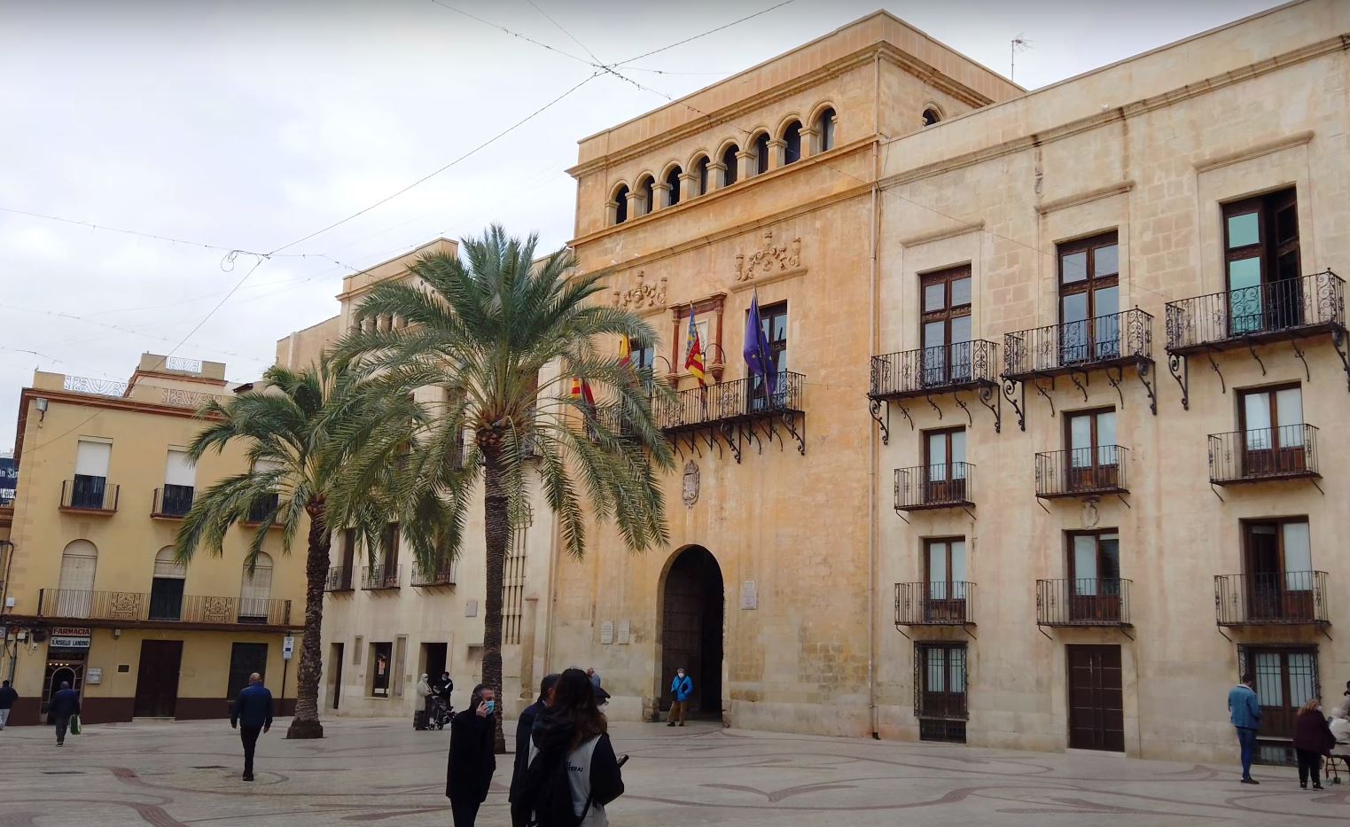 Elche Más que un Palmeral