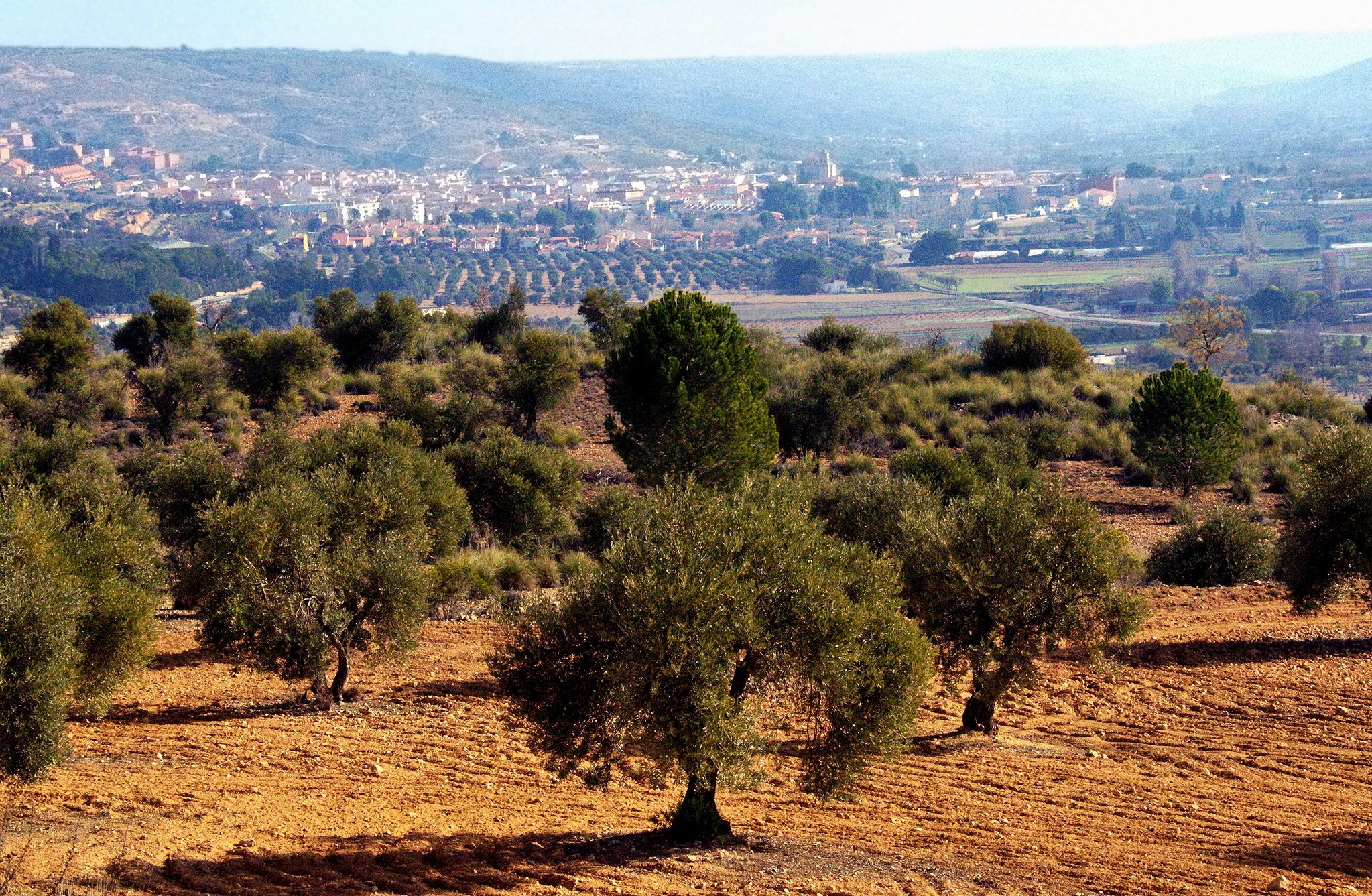 Morata de Tajuña cerca de Arganda del Rey
