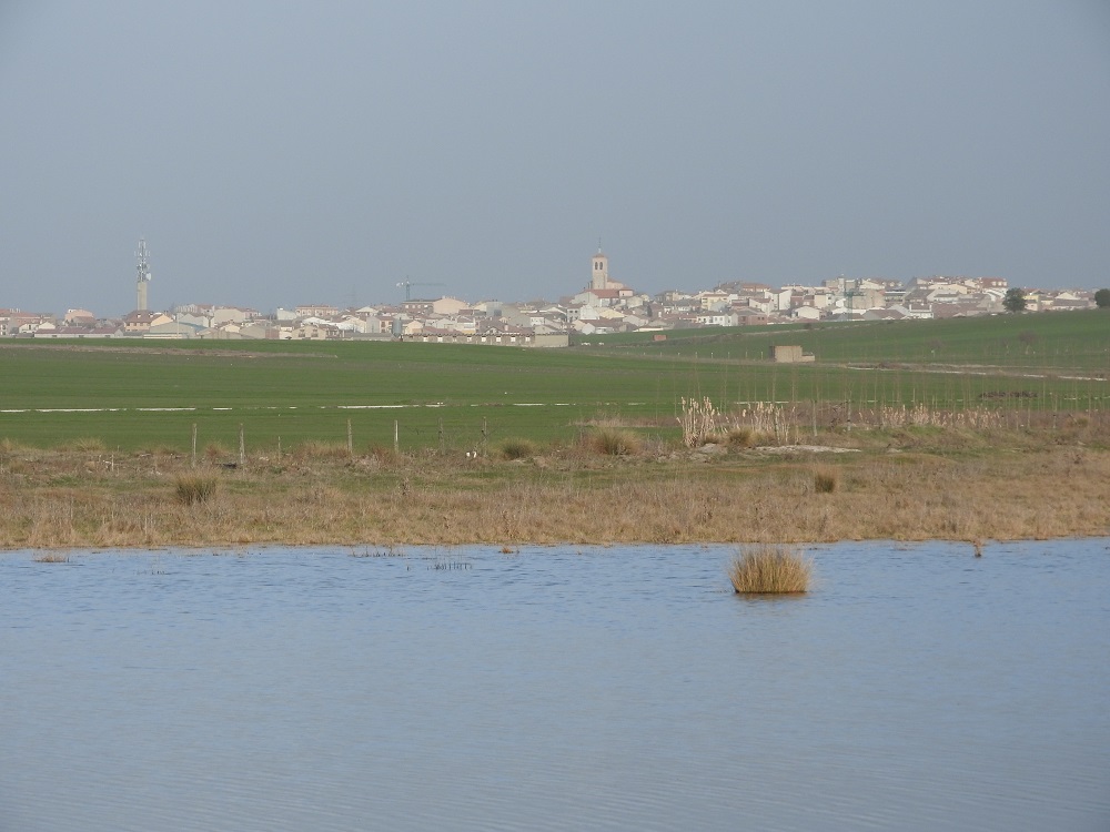 Cantalejo